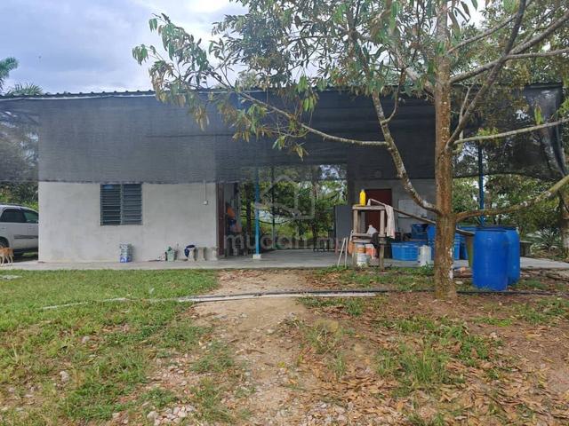 KLUANG TO MERSING ROAD, 12 ACRES Agricultural Durian Land FOR SALE 1