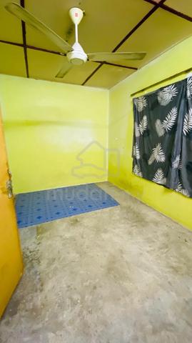 Seksyen 19 1