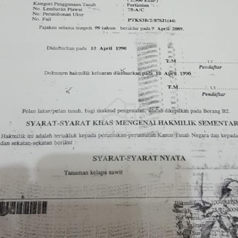 Tanah kebun sawit 2.73 ekar Kg Bkt Kerayong 5