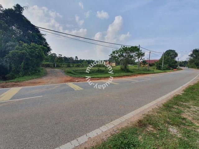Lot banglo 662mp di Bukit Biah Kuala Berang 1