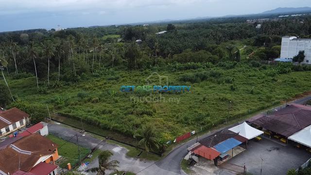 Agriculture Land - Merbok - For Sales 1