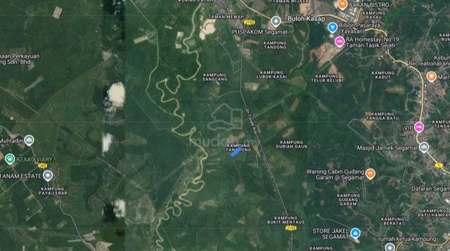 Tanah Pertanian Sawit Kampung Tangkong Buloh Kasap Segamat Johor 3