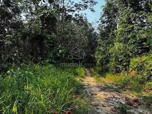 Agricultural Land in Rawang ๐ฟ BUMI๐ Rawang 1