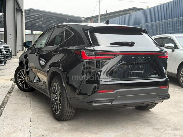 2023 Lexus NX250 2.5 Version L Sunroof Full Spec - 2