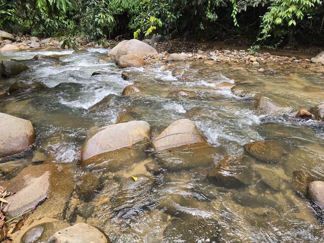 (ANAK SUNGAI DI TANAH! PELBAGAI TANAMAN) Tanah Pertanian, Janda Baik 3