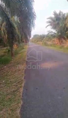 5 Ekar Tanah Kelapa Sawit Parit Sukor Sembrong Batu Pahat Johor 1