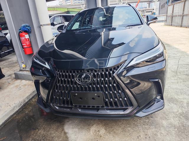 2023 Lexus NX250 2.5 VERSION L PANROOF,RED LEATHER - 2