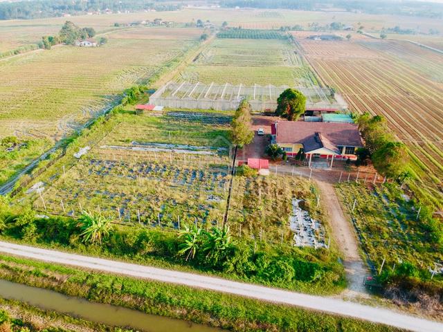 2 Acre Agricultural Land For Rent| Green House | Rumah 1