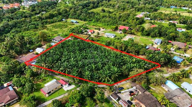 Tanah rata&mudah akses 🏡|Agricultural land 1.6 acres|Kg.Tanjung Nilai 1