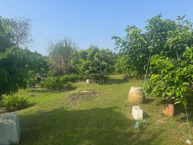 1.166acres flat land in Kampung Baharu Gunung Rapat, Ipoh 1