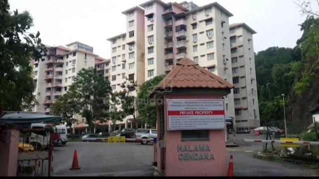 Halaman Cendana 1