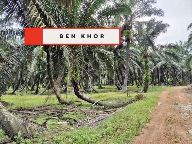 10.293 Acres | 2 Reserved Road | Agricultural Land |Selama | PERAK 3