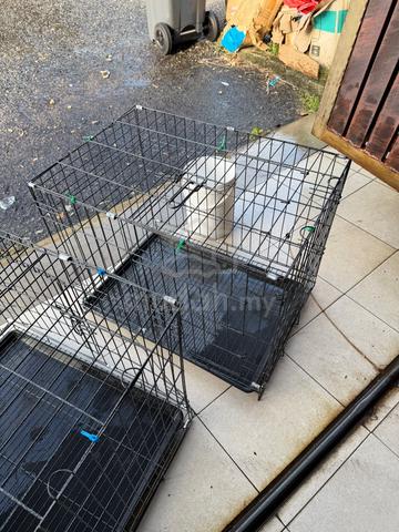 sangkar kucing besar - photo 6 of 6