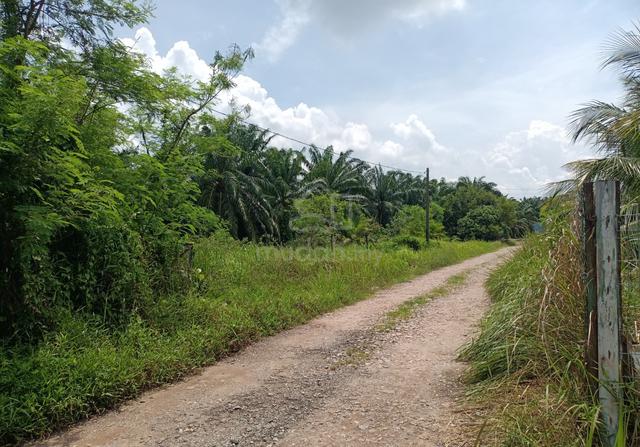 21 Ekar Tanah Kelapa Sawit Batu 2 Jalan Batu Pahat Kluang Johor 1