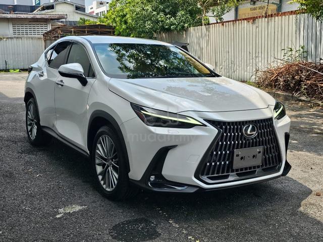 2023 Lexus NX 250 2.5 LUXURY (A) - 1