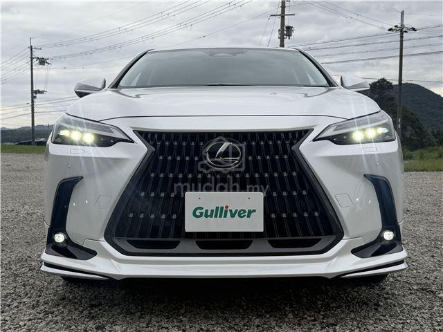 2023 Lexus NX250 2.5 BASE GRADE (A) ORIGINAL TRD - 1