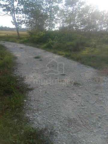 Kelantan Ketereh Freehold Land For Sale 1