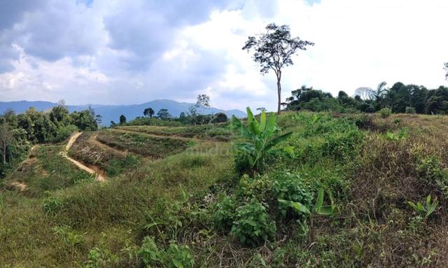 Tanah camp site (Dusun buah di Kuala klawang) 1