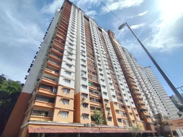 Flora Damansara 1