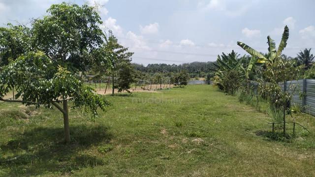 10 Acres Agriculture Land -can plant oil palm RM4mill Batu Pahat Johor 1
