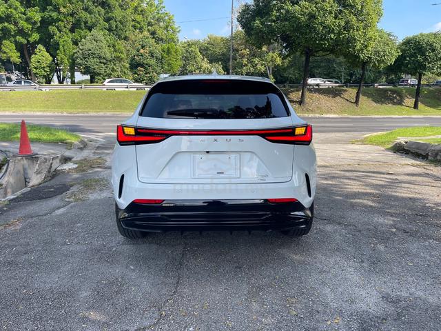2023 Lexus NX 350 2.4 F SPORT AWD (A) - 4