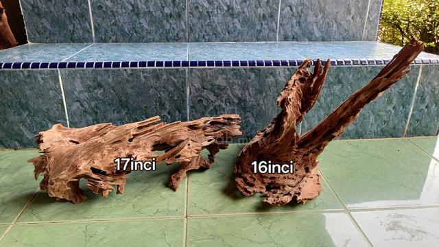 driftwood terrarium paludarium aquascape - photo 4 of 4