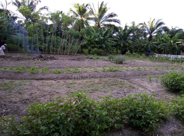 Tanah 2Lot untuk jual  1