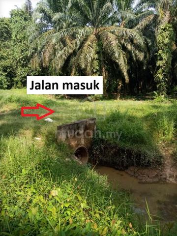 Tanah Kebun Sawit 1.92 ekar untuk dijual di Kampung Gajah, Perak 1