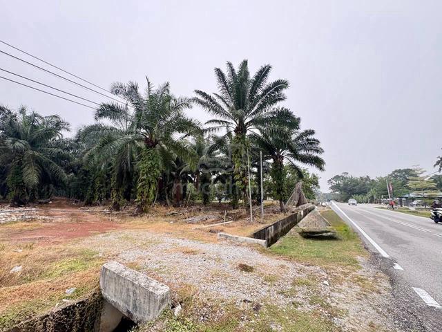 Residential-Zoned Land For Sale @ Parit Mesjid, Pontian 1