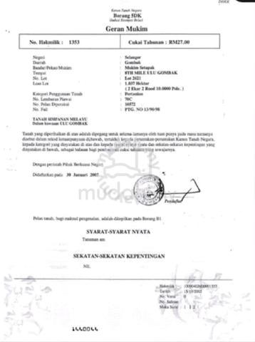 Land for sale 1