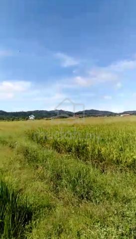Land 3.2 ac, viewing paddy, hilly, Below Market, Ulu Melaka, Langkawi 1