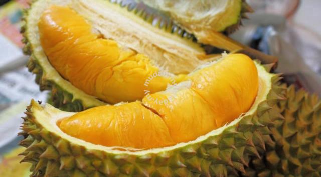 Durian Farm Land (10 acres), Balik Pulau, Pulau Pinang 1