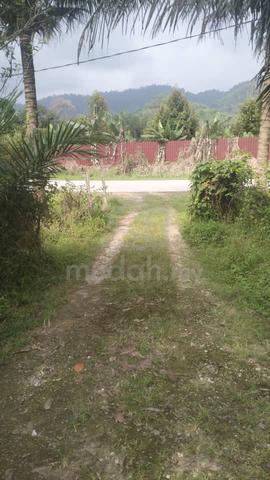5 acre agriculture freehold land 1