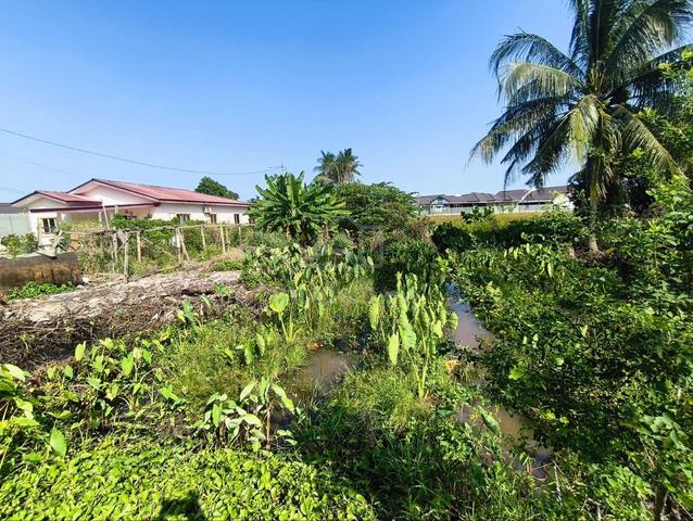 (Freehold)Tanah Pertanian Tepi Jalan Utama Bukit Rambai, Melaka. 1