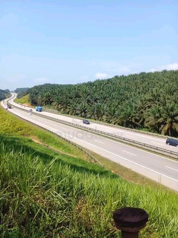 2118 Acres Palm Oil Plantation Land @ Gambang, Kuantan, Pahang 1