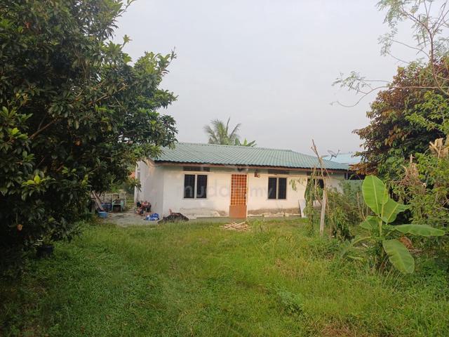 Bunglow house 1