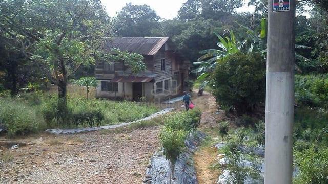 Tanah 1.176 Hektar (Kelapa Sawit) Untuk Dijual 1