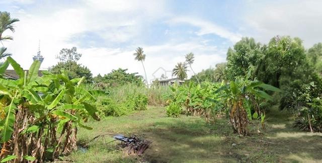 Alor Setar Strategic Town Area Bungalow Land for Sale! 1