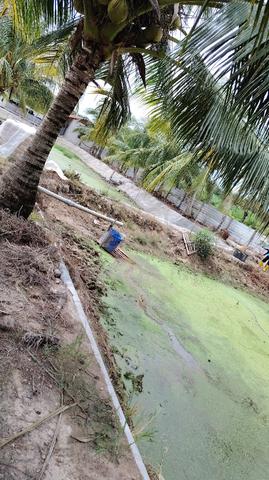 fish farm for sale bagan serai 1