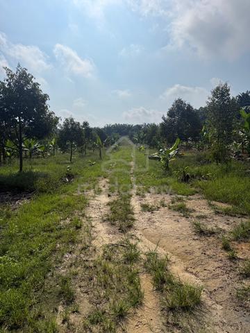 land for sale 1