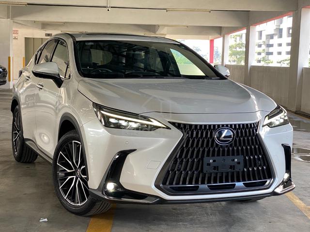 2023 Lexus NX250 VERSION L FREE TINTED - 1