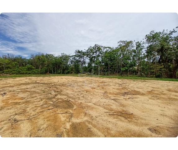 Tanah Murah Bukit Payong Besut 3