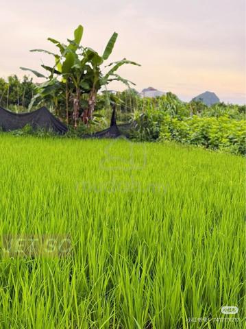 Sungai Blankan Sepang, Selangor Agriculture Land Zoning Industrial For 1