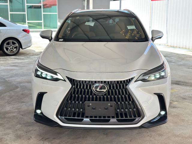 2023 Lexus NX 250 2.5 LUXURY (A) - 3