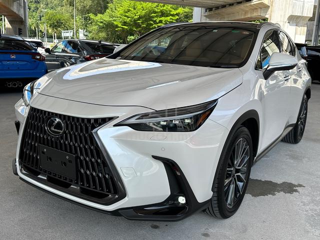 2023 Lexus NX 250 2.5 LUXURY (A) - 3