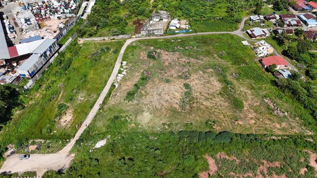 Suugai Petani Selatan Agricultural Land for sale 1