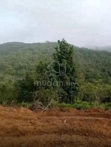 tanah pertanian untuk dijual di mukim belanja, perak tengah, perak 1