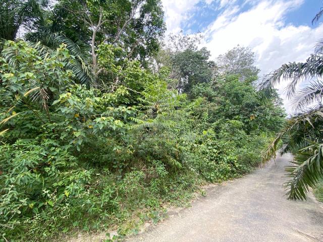 FREEHOLD 3.9 acres Residential Land Desa Vista Sepang 1