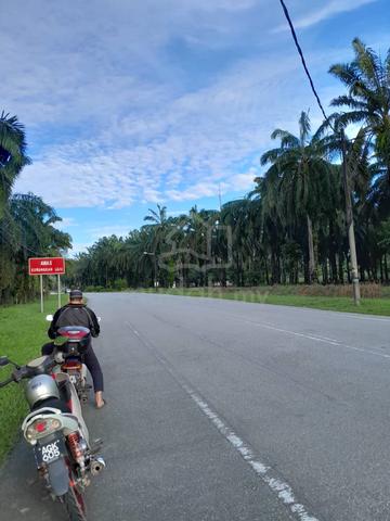 main road land  1