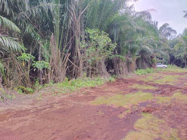 Sijangkang Flat Land Telok Panglima Garang, 📌2.04 Acres 2
